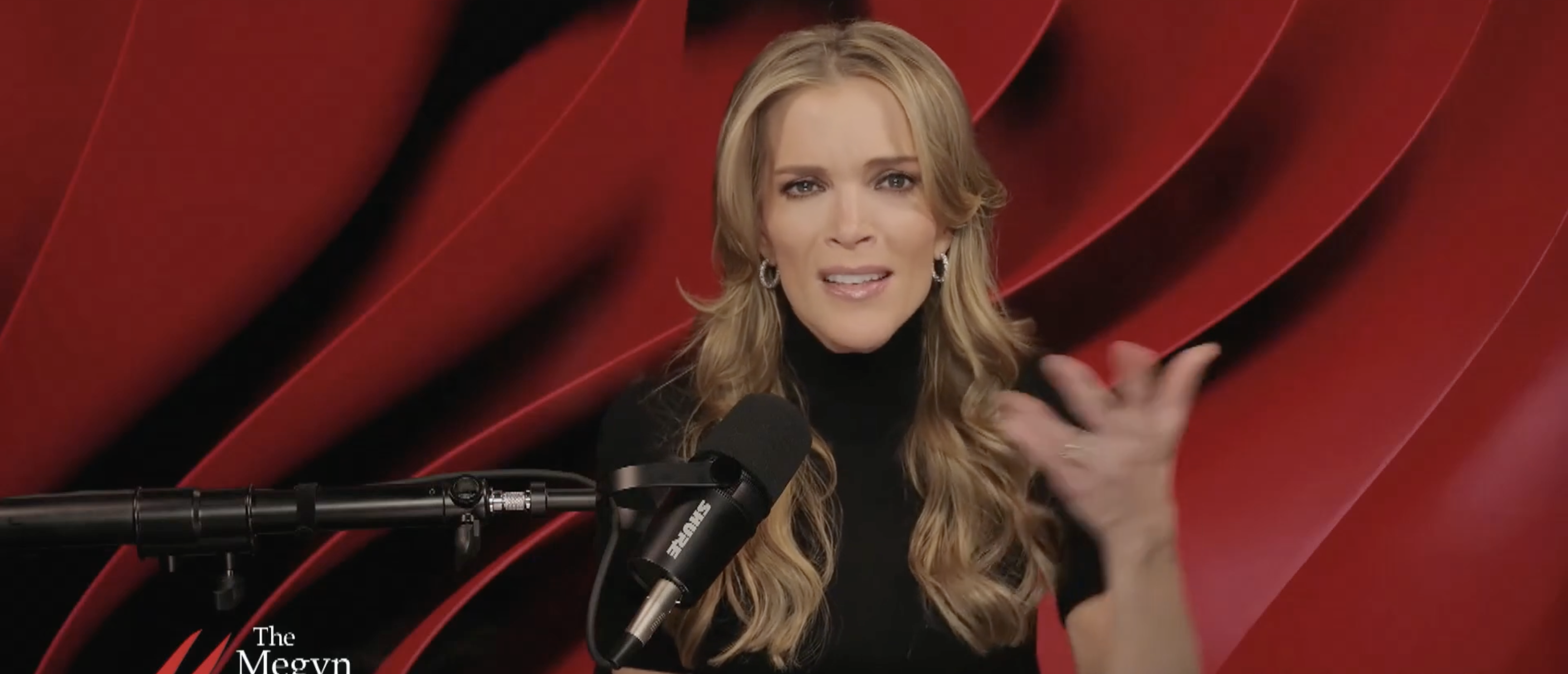 ‘Screw You, We Have A Country To Save’: Megyn Kelly Rips Dems Making ‘Fools Out Of Themselves’ At RFK Jr Hearing